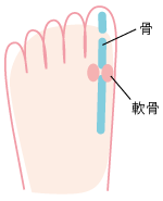 健康な足